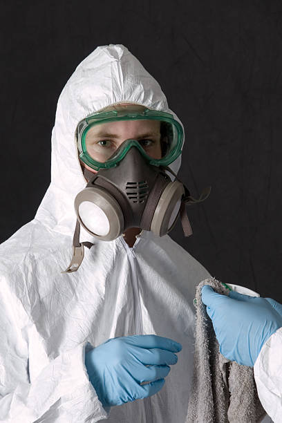 Professional Mold Inspection, Removal & Remediation in Clayton, NJ